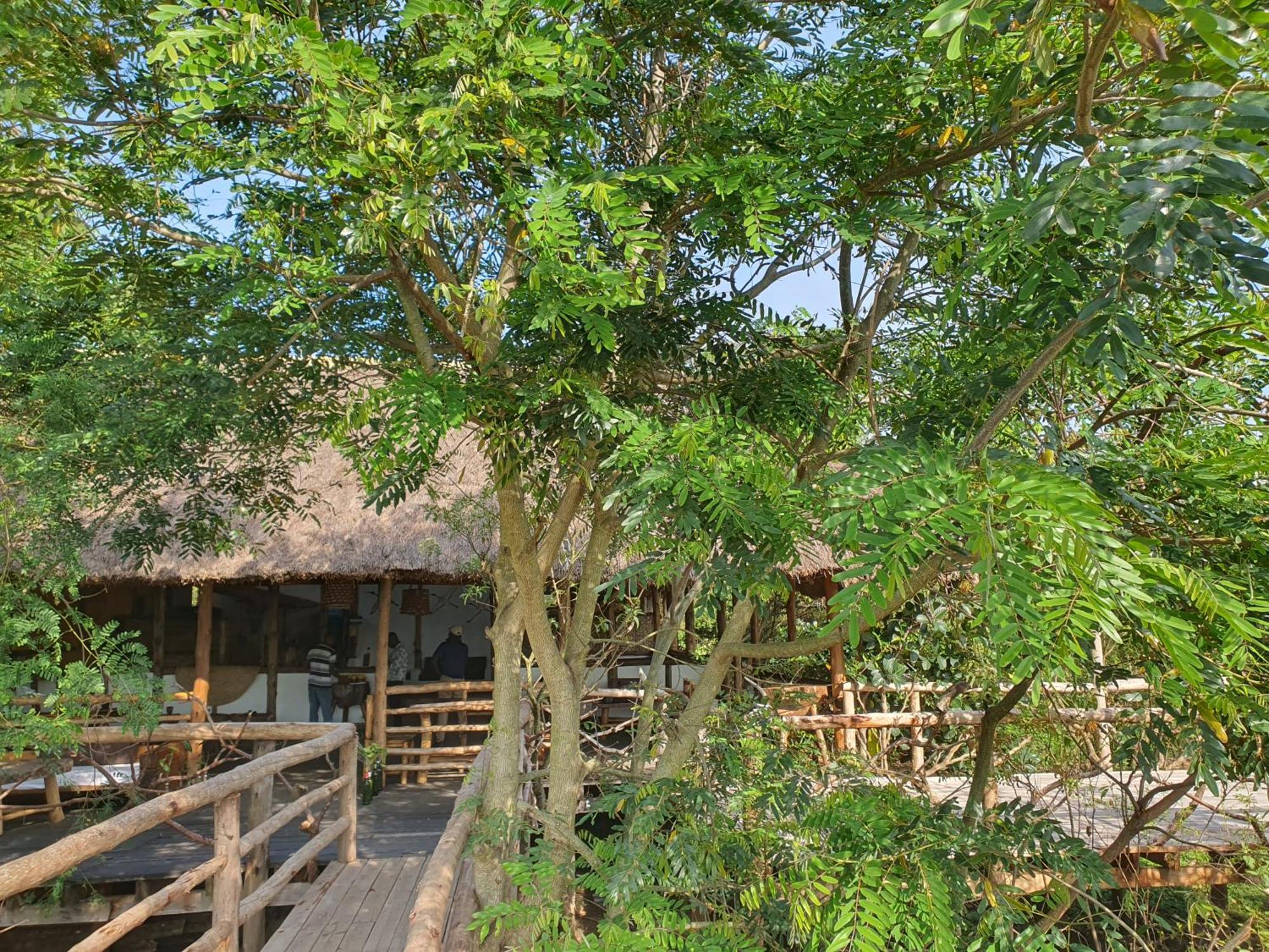 Topi Lodge Katunguru Eksteriør billede